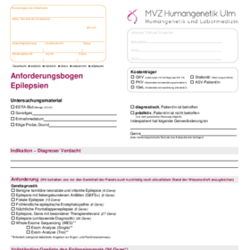 Anforderungsbogen Epilepsien